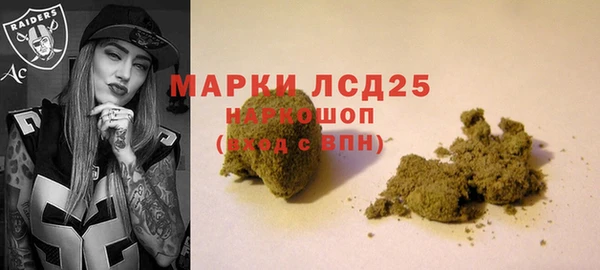 шишки Богородицк