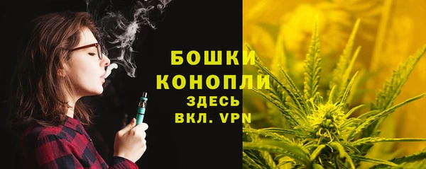 стафф Беломорск