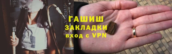 шишки Богородицк