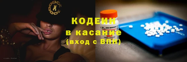 шишки Богородицк