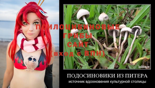 меф Белокуриха