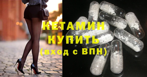 шишки Богородицк